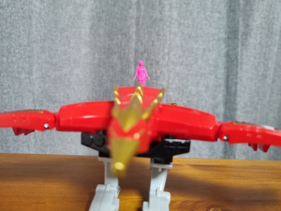 전대장인 대련왕 , 아대왕_11.jpg