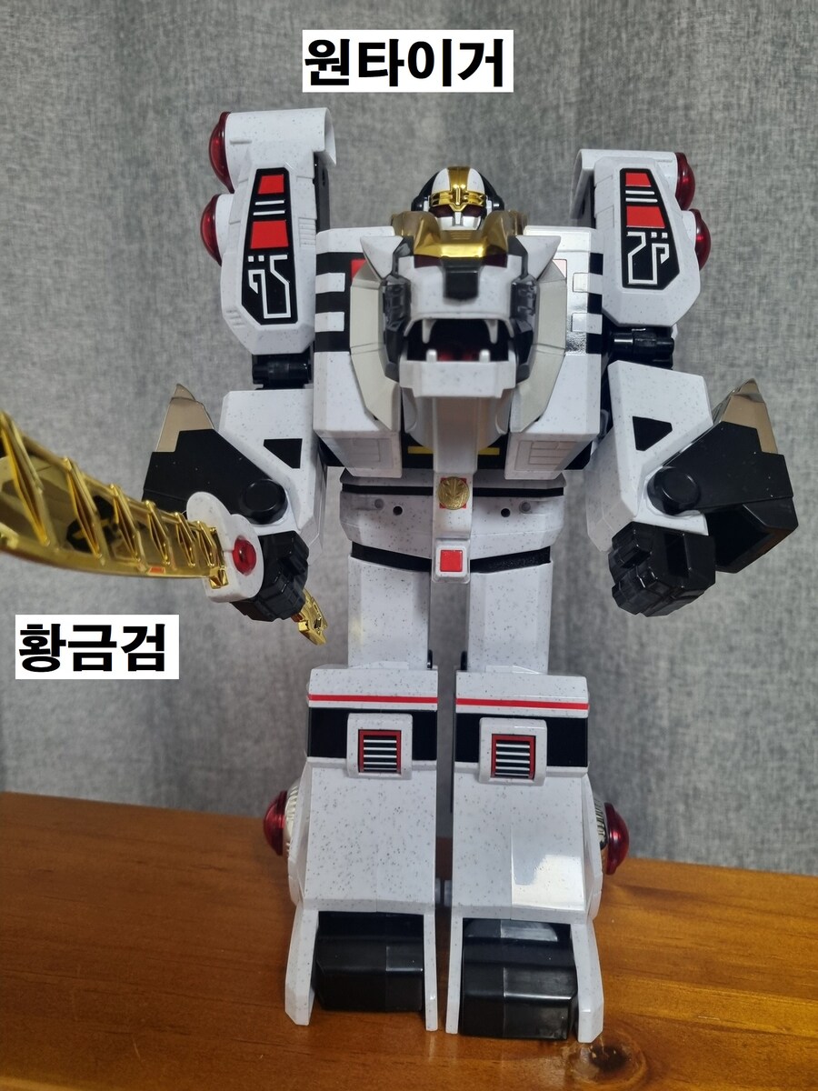 전대장인 대련왕 , 아대왕_39.jpg