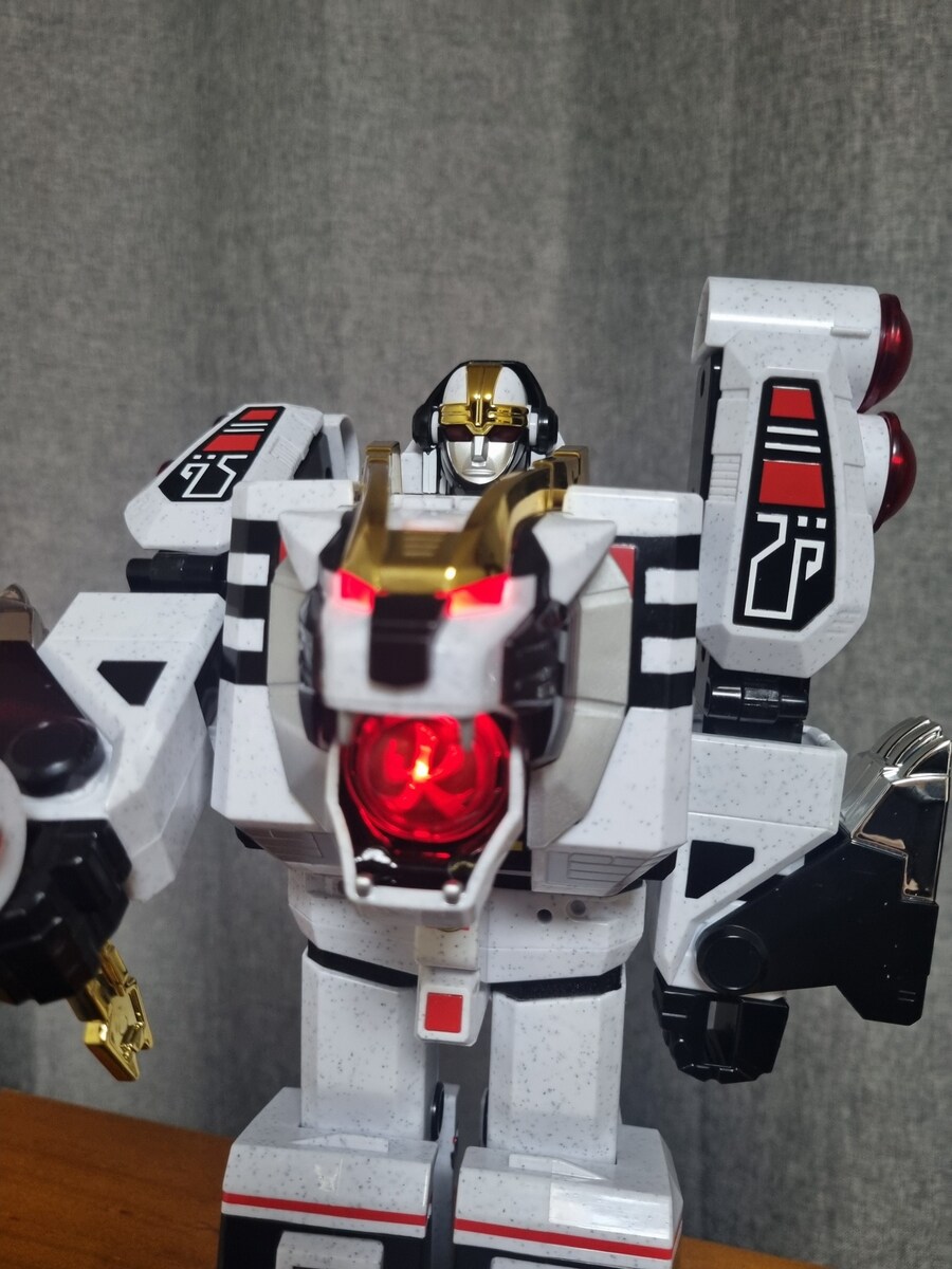 전대장인 대련왕 , 아대왕_43.jpg