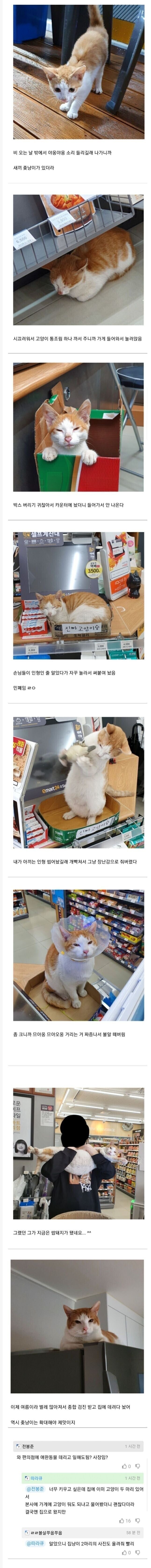 편의점 민폐덩어리.jpg_1.jpg