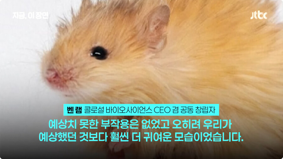 매머드 근황.jpg_8.jpg