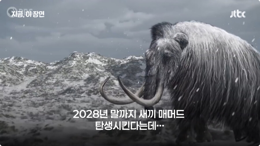 매머드 근황.jpg_9.jpg
