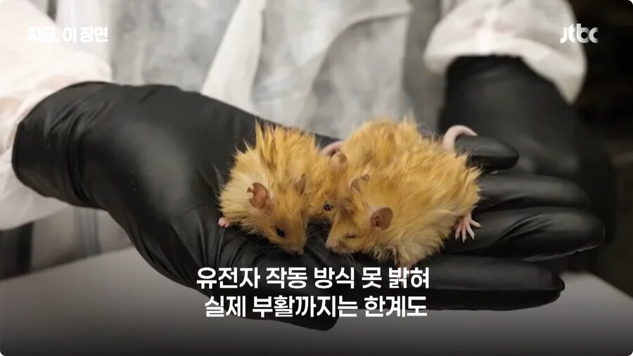 매머드 근황.jpg_12.jpg