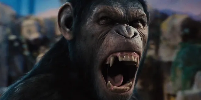 MCU) 마블에선 신이었는데 나오자마자 떡락한 감독님 甲_8.webp