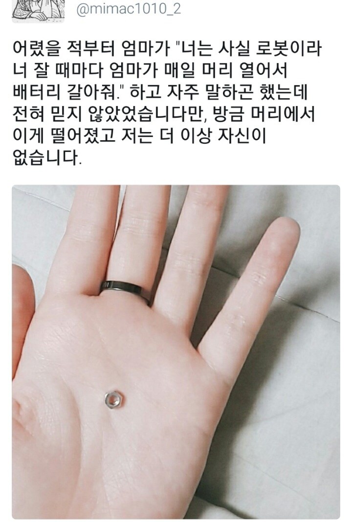 "봇이지 뭐"_1.jpg