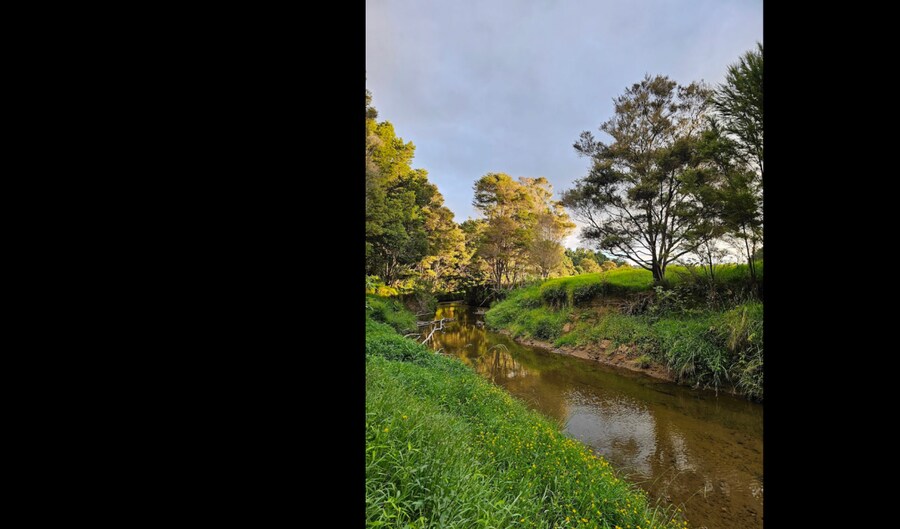 뉴질랜드에 땅 보유중인 김병만.jpg_8.png