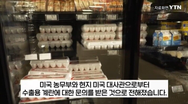 프랑스: 내가 먹고 죽을 계란도 없다고!!!_3.jpg