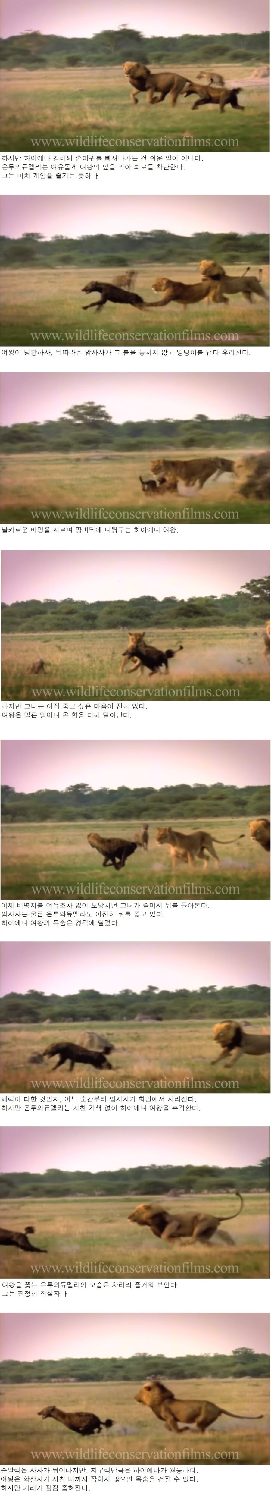 신하들한테 왕권과시하다가 옆나라 왕에게 골로 가버린 여왕.jpg_3.jpg