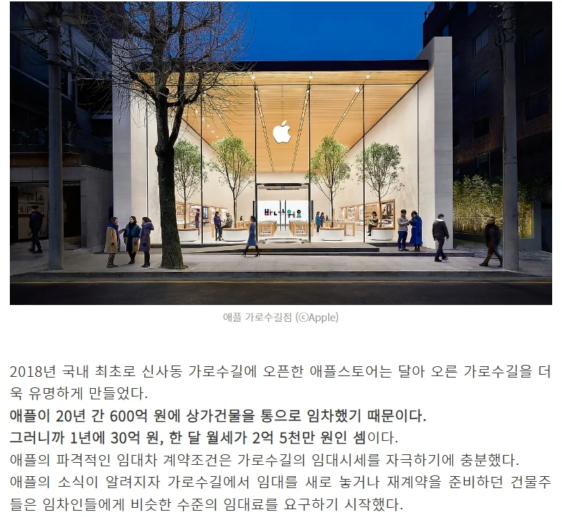 가로수길의 임대료를 우주까지 끌어올린 원흉.....jpg_2.webp