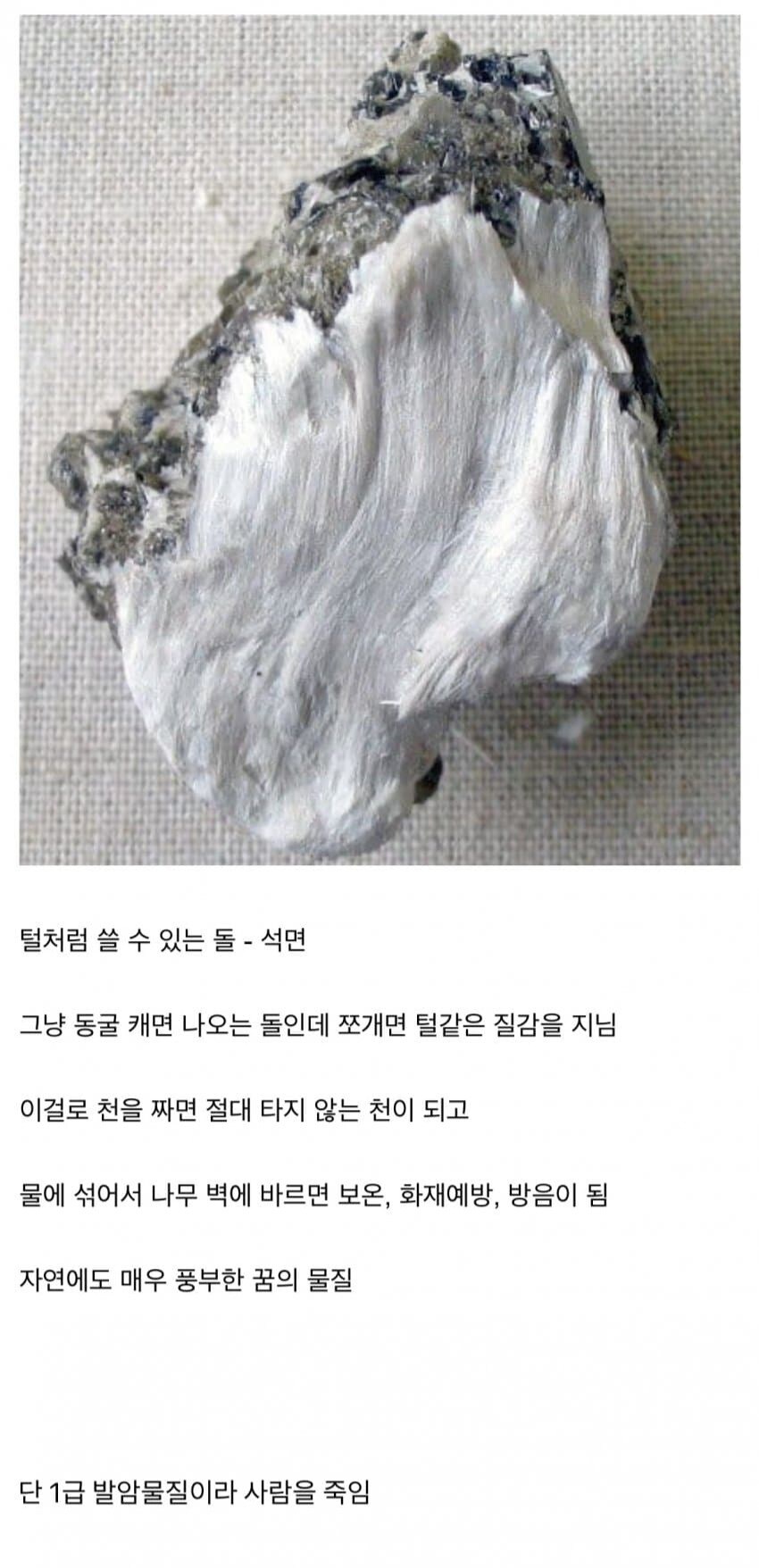 폐 갈아끼면 석면 쓸수있는거 아님?_1.jpg