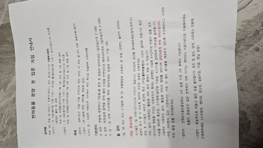 똥꼬발랄한 러블 아깽이 , 분양했습니다. ♥-♥_11.jpg