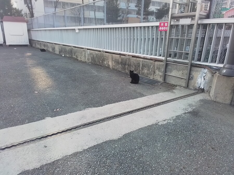 오늘 운수좋은날인가 생각했습니다._1.jpg