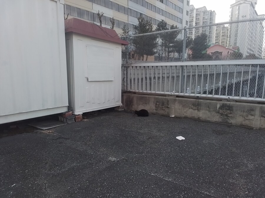 오늘 운수좋은날인가 생각했습니다._2.jpg