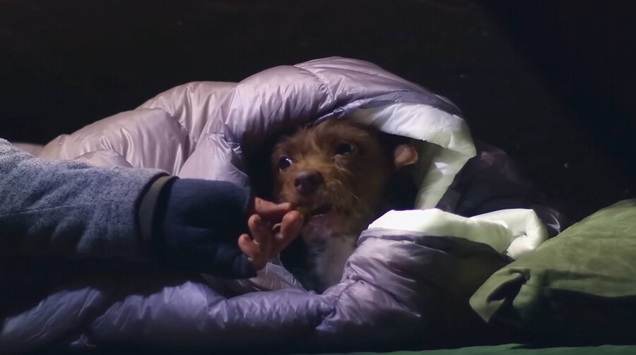 -15°C에 텐트에서 김치찌개를 만드는 외국인_28.jpg