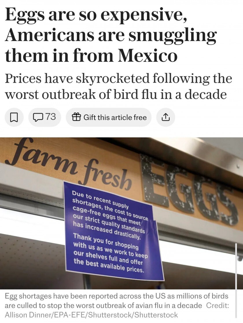 미국이 멕시코에서 밀수 중인거_1.jpg