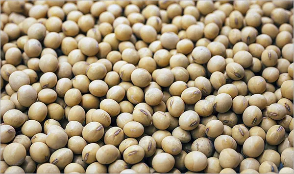 짜장소스를 만드는 방법을 알아보자...._1.webp