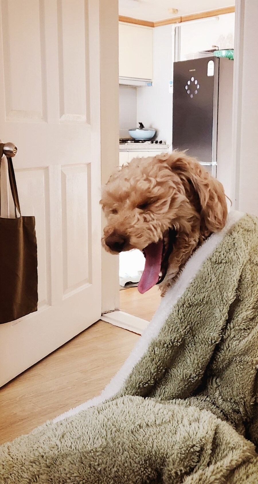 물가 너무비싸서 오리목뼈 간식 만들기_12.jpg