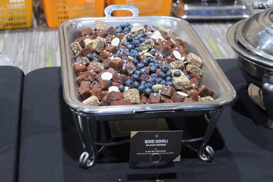 워크래프트 30주년 월드 투어 서울 현장 모습 및 코스프레_35.jpg