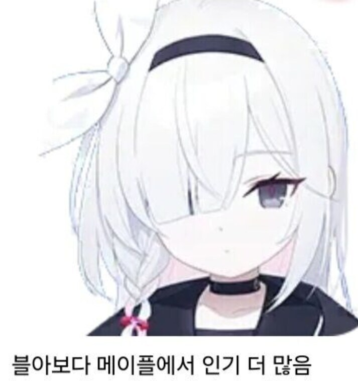 블아는 몰라도 얘는 알고있는 사람 많더라_1.jpg