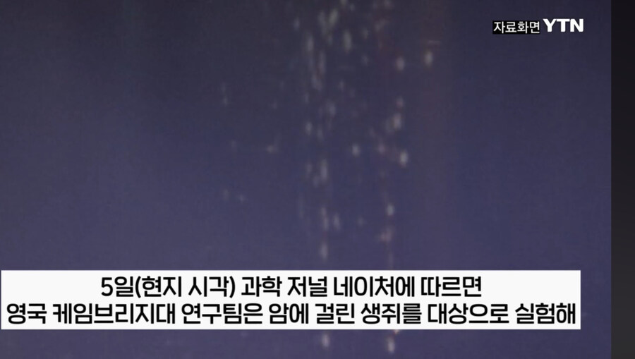 아스피린 근황_2.jpg