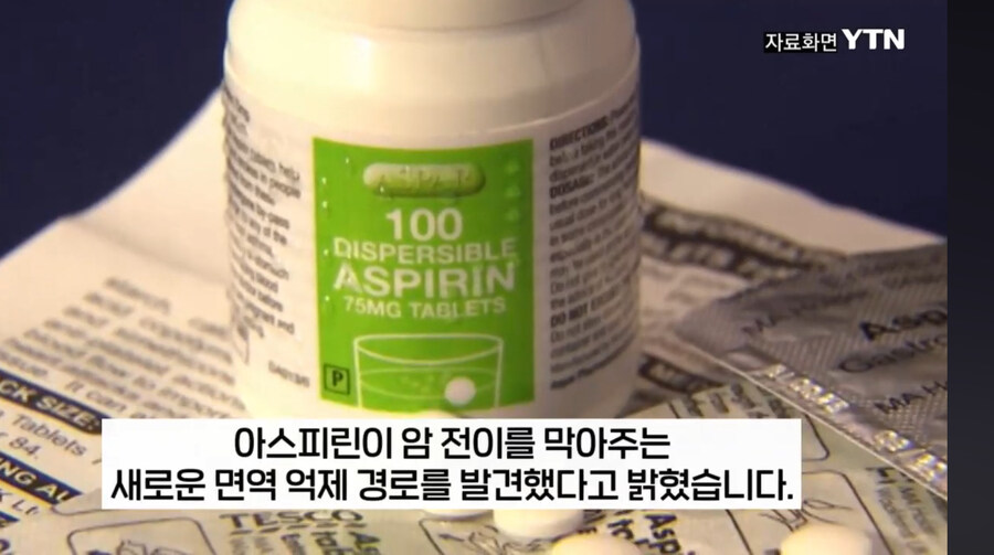 아스피린 근황_3.jpg
