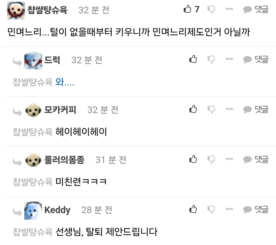 민며느리제가 무슨 뜻인지를 유추하는 펨코 유저_1.webp