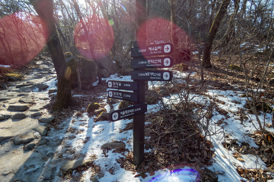 2월 망한 탐조_19.jpg