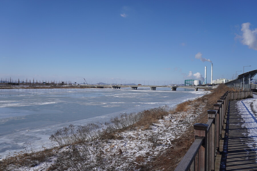 2월 시화호 북단 및 오이도 탐조_3.jpg