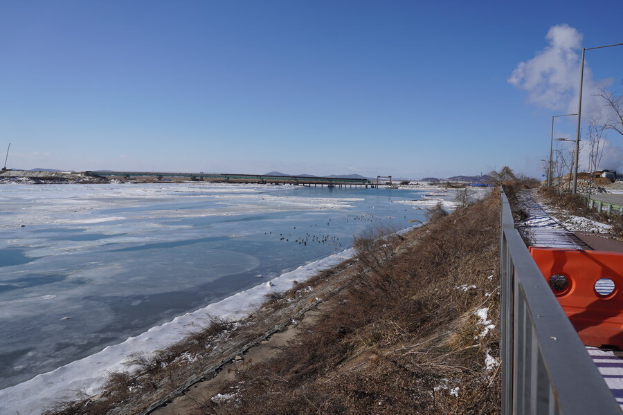 2월 시화호 북단 및 오이도 탐조_6.jpg