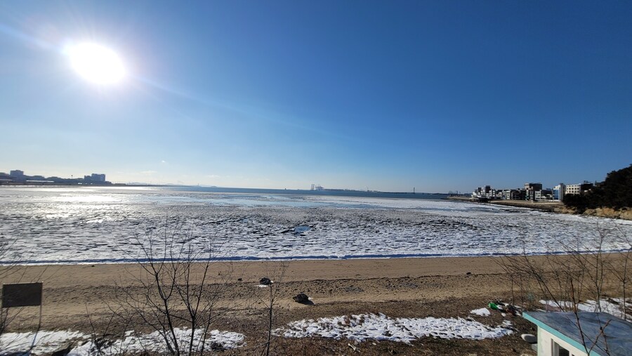 2월 시화호 북단 및 오이도 탐조_47.jpg