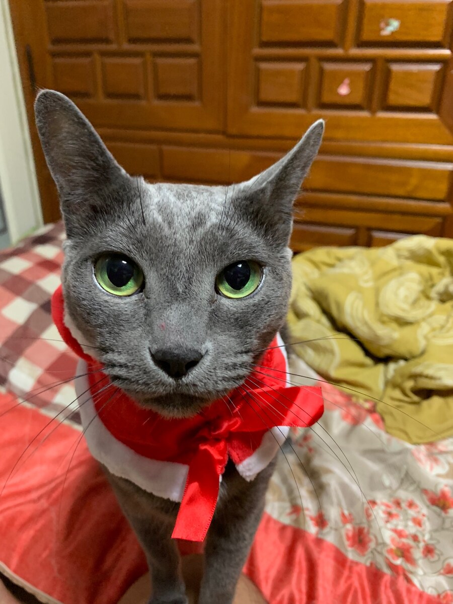 몬헌월드에 가지고 있는 추억_9.jpg