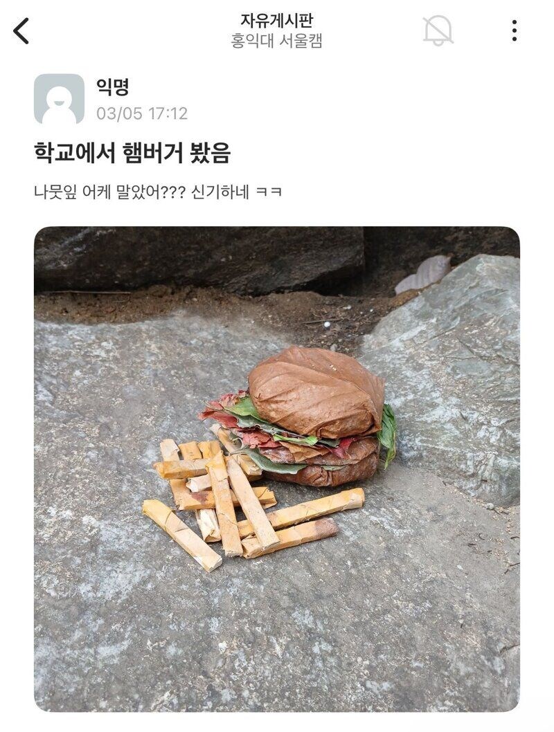 홍대 에타에 올라온 햄버거_1.jpg