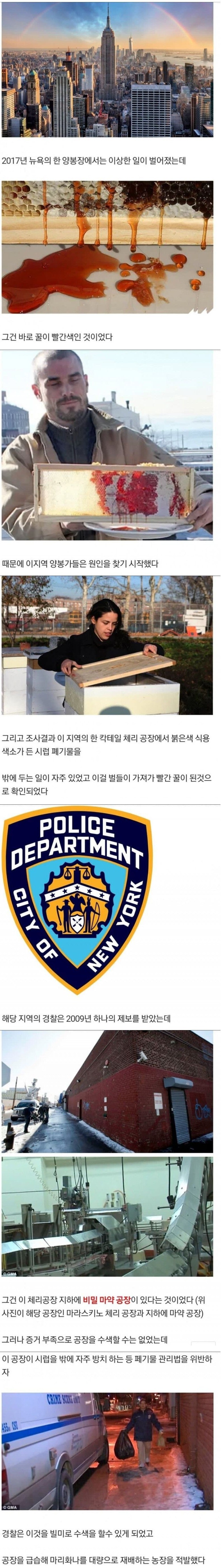 미국 레드허니 사건_1.jpg