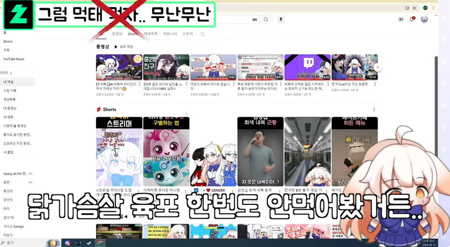 시청자들이 자꾸 개밥먹는다고 해서 빡친 버튜버_1.jpg