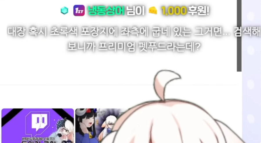 시청자들이 자꾸 개밥먹는다고 해서 빡친 버튜버_28.jpg