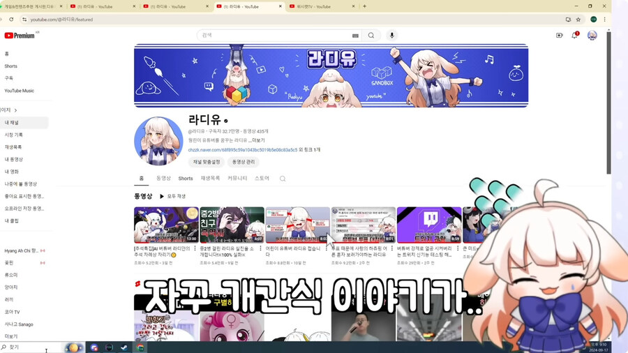 시청자들이 자꾸 개밥먹는다고 해서 빡친 버튜버_33.jpg