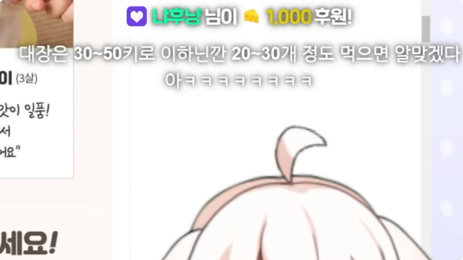 시청자들이 자꾸 개밥먹는다고 해서 빡친 버튜버_60.jpg