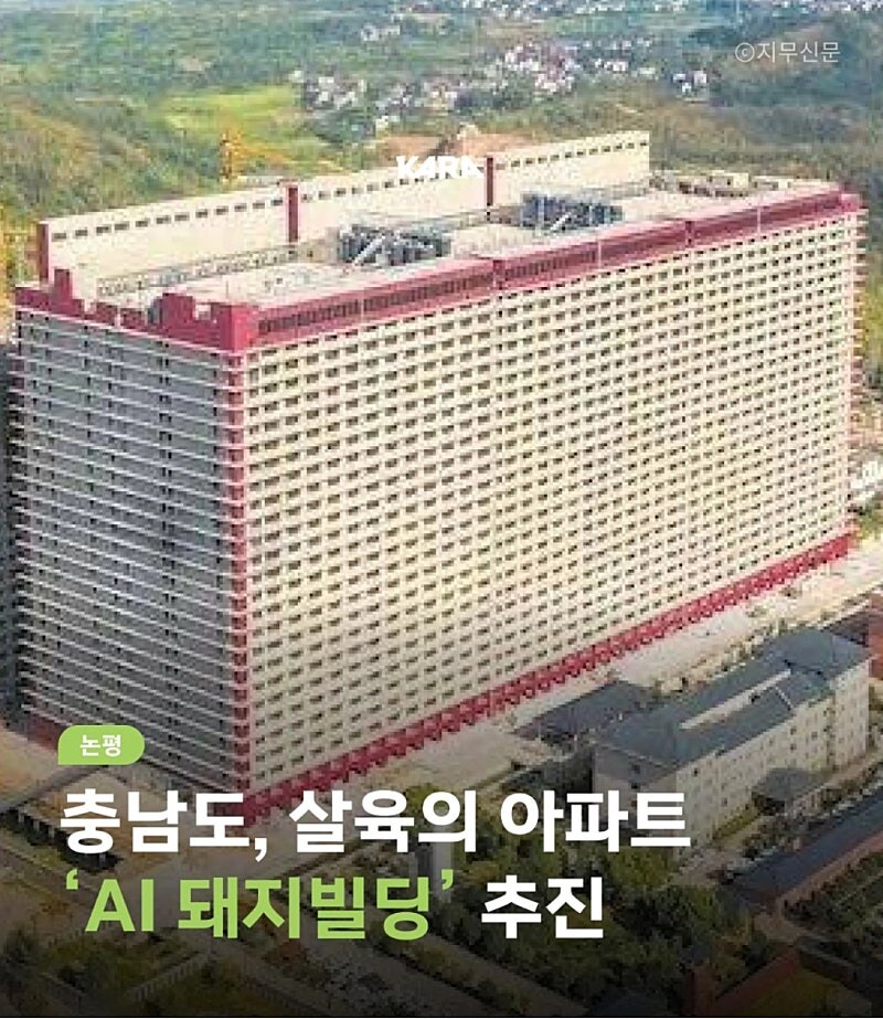 충남 '돼지빌딩' 추진...동물단체 반발_5.jpg