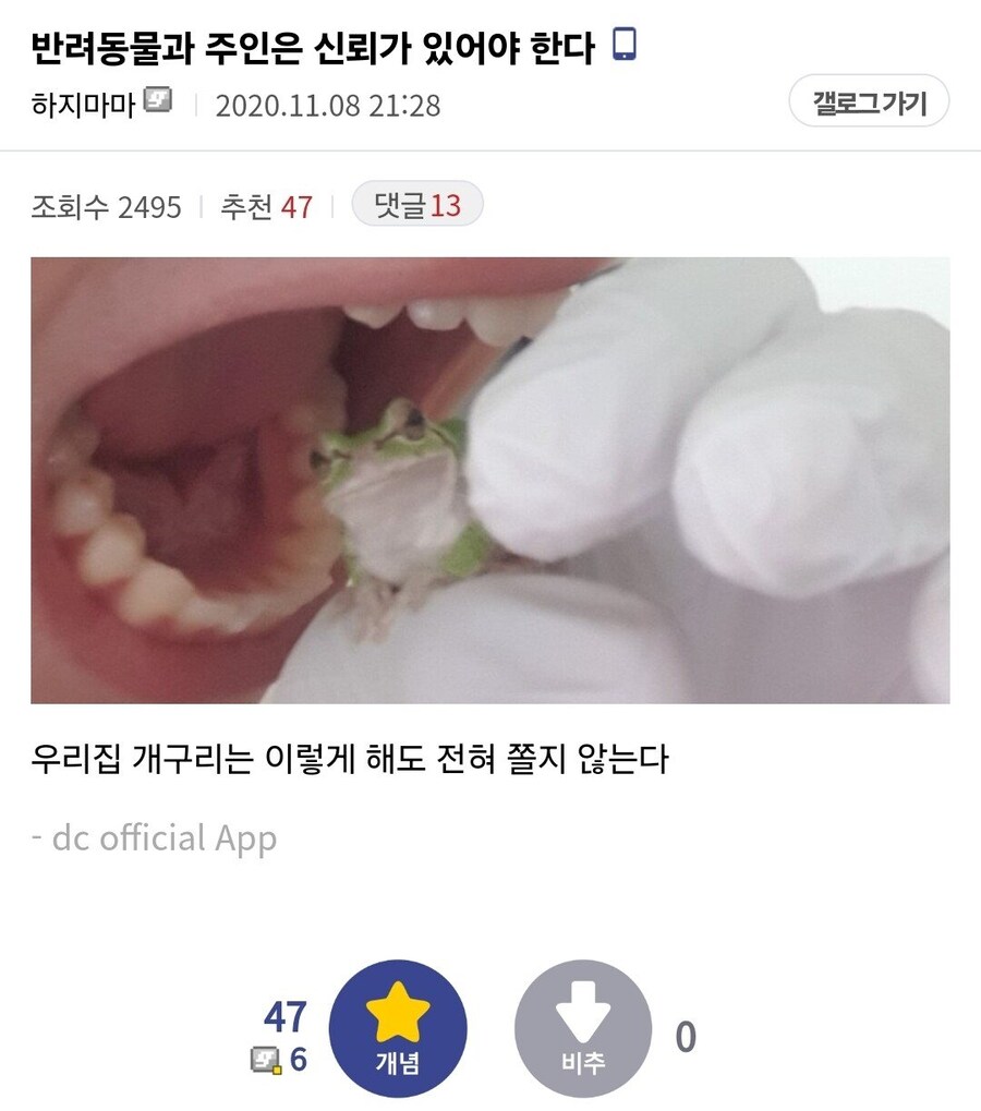 반려동물과 주인은 신뢰가 있어야 한다_1.png