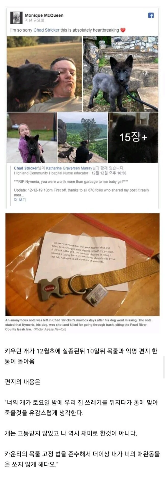 옆집 개가 쓰레기통 뒤지는거 보고 사살한 이웃.JPG_1.webp