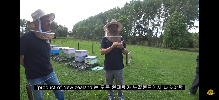 국산 된장 논란 뉴질랜드 버전.jpg_5.png