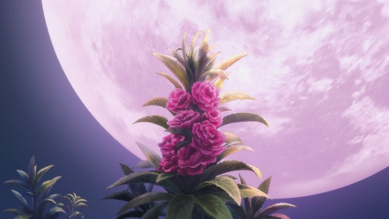 약사의혼잣말) ㅅㅂ 내가 창녀지만 그런 저에게도 자존심이라는게 있답니다._64.jpg