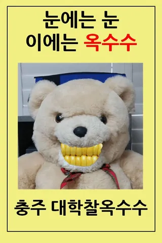 충주맨이 숨쉬듯 선을 넘는 이유_1.webp