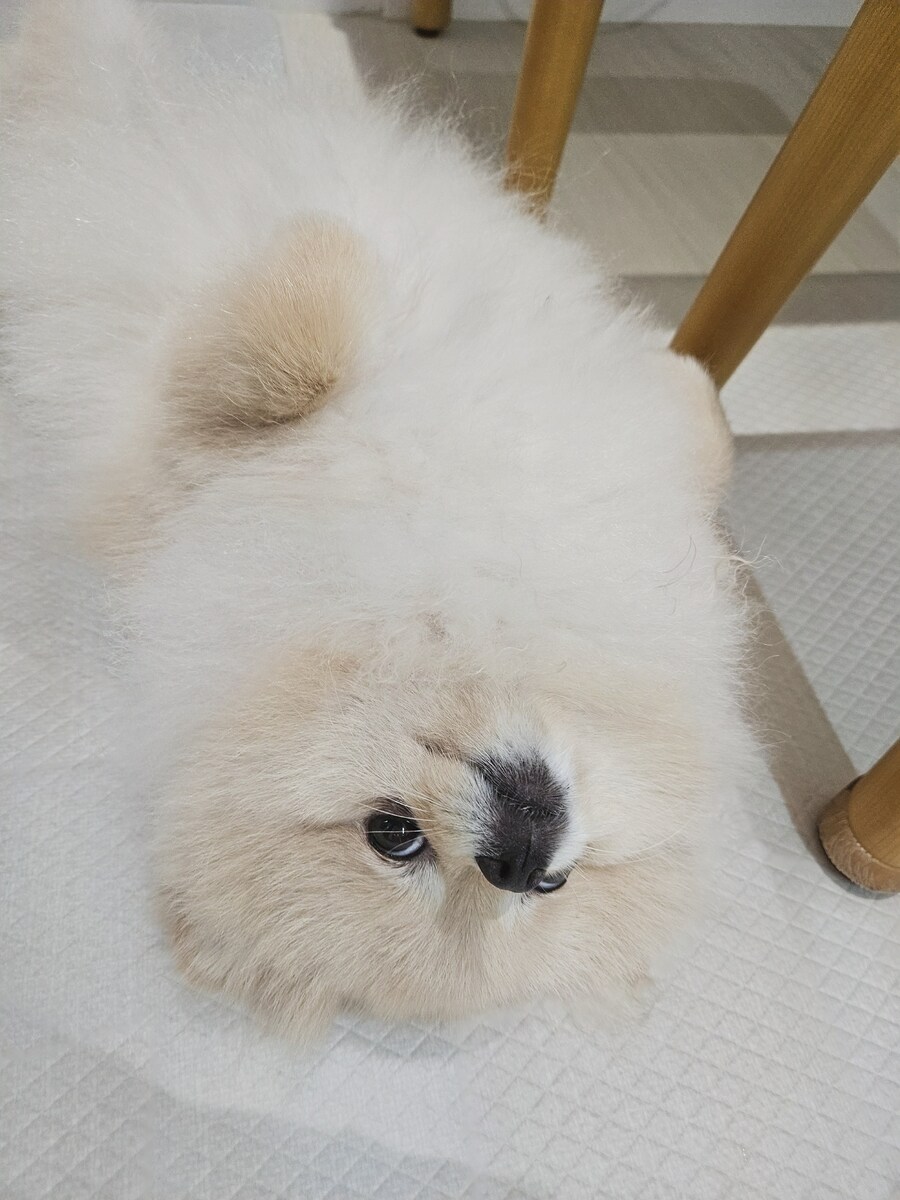 출근할 때마다 너무 고통스럽다...._1.jpg