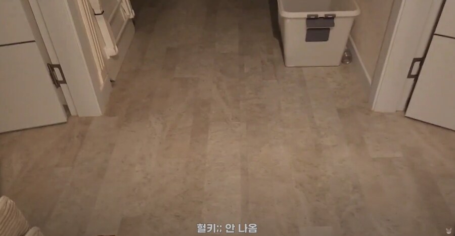 냥집사들 외출했다 귀가했을 때 가슴 철렁 하는 순간_4.png