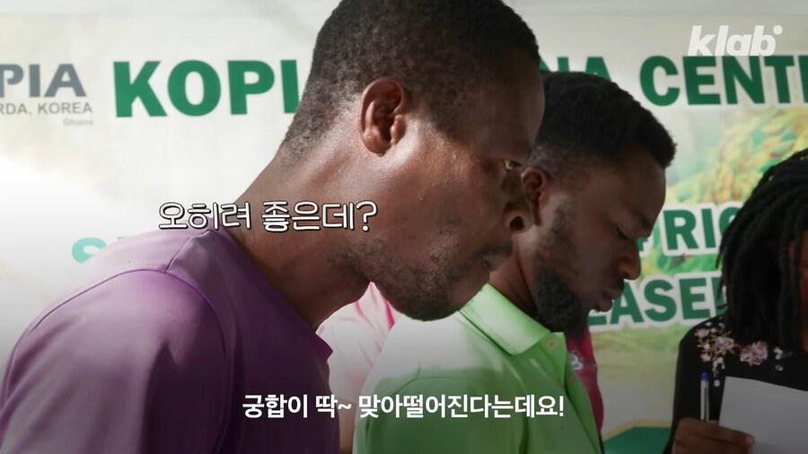 근래 떡상한 한국 쌀 품종류 甲_8.png