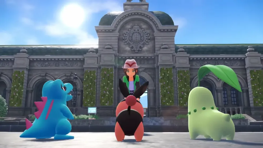 불쌍한 포카부_1.webp