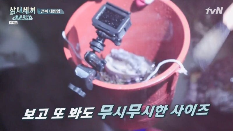 존나 개쩌는 전복을 줍줍한 삼시세끼 팀_10.jpg