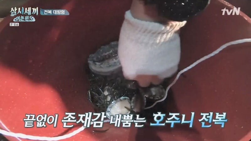 존나 개쩌는 전복을 줍줍한 삼시세끼 팀_11.jpg