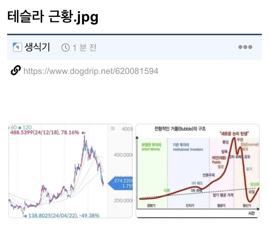 테슬라 근황.jpg_1.jpg